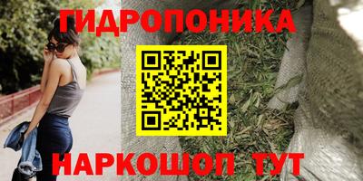 прущие грибы Гусев