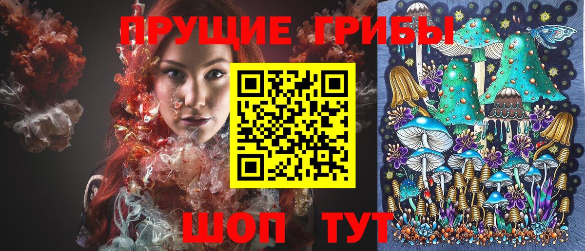 где найти   Вход с VPN  Междуреченск  Псилоцибиновые грибы Cubensis 